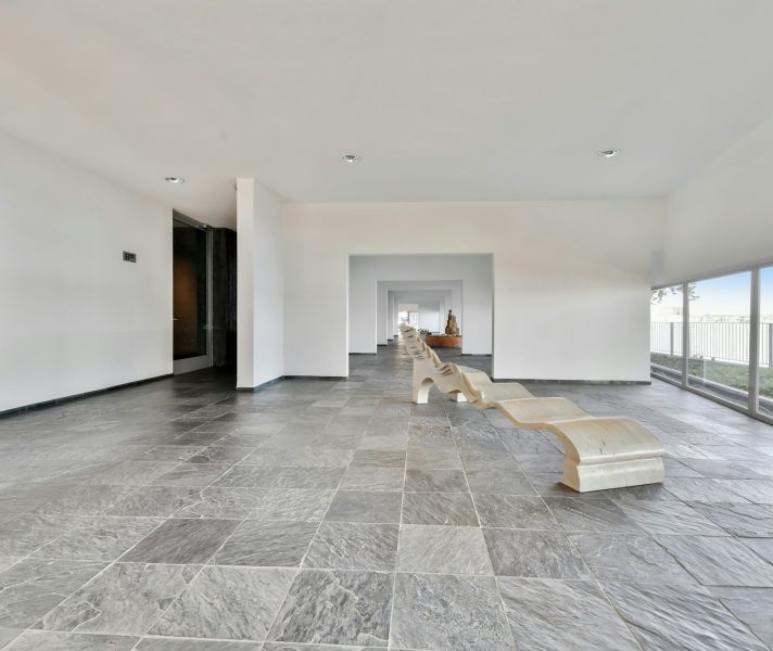 Luxury house design